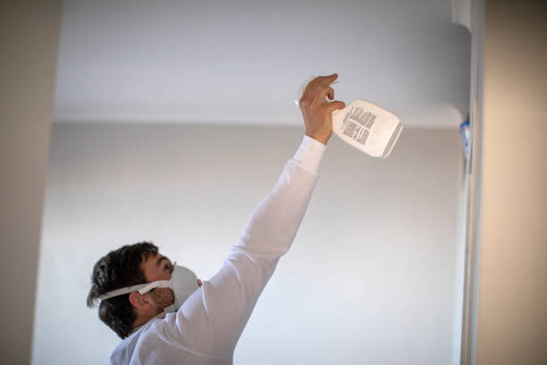 Best Health and Safety Mold Remediation in Osage City, KS