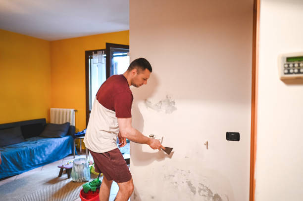 Best Mold Remediation for Specific Building Types in Osage City, KS